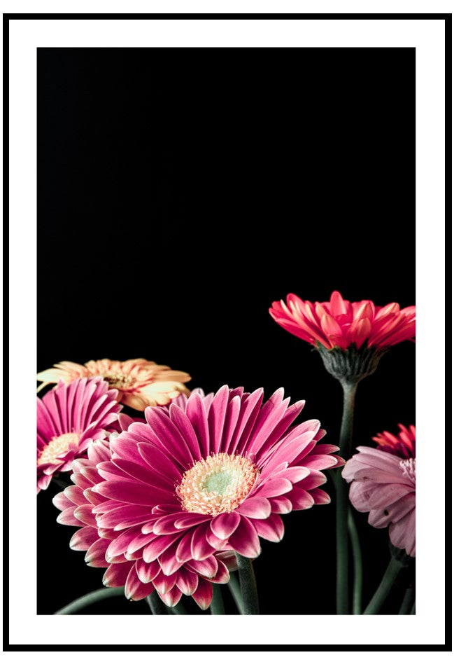 spring flowers wall art